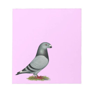 Bloc-note Afficher le faux repère du raciste