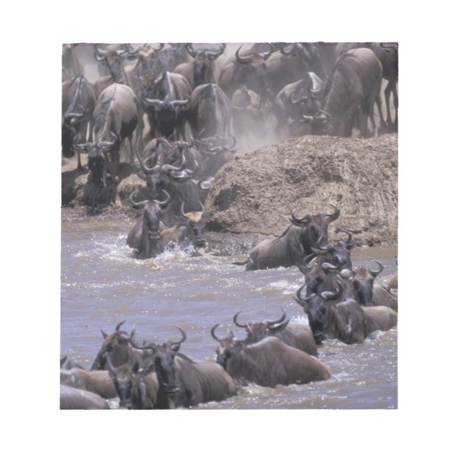 Bloc-note Afrique, Kenya, Parc national Masai Mara. (Devant)