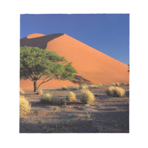Bloc-note Afrique, Namibie, Parc Namib-Naukluff, Sossosvlei