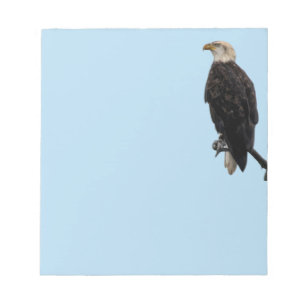 Bloc-note Aigle du pavé de notes