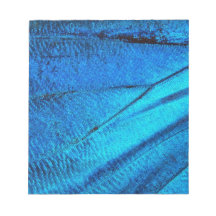 Aile de papillon bleu iridescent