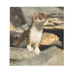 Bloc-note Alerte Weasel