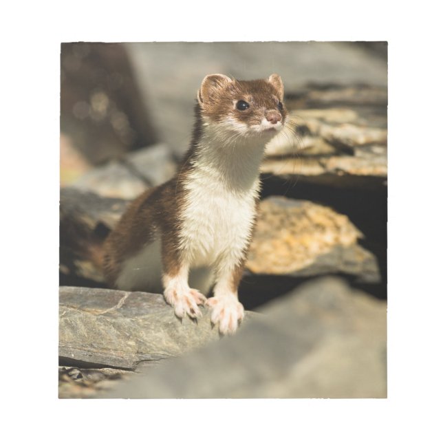 Bloc-note Alerte Weasel (Devant)