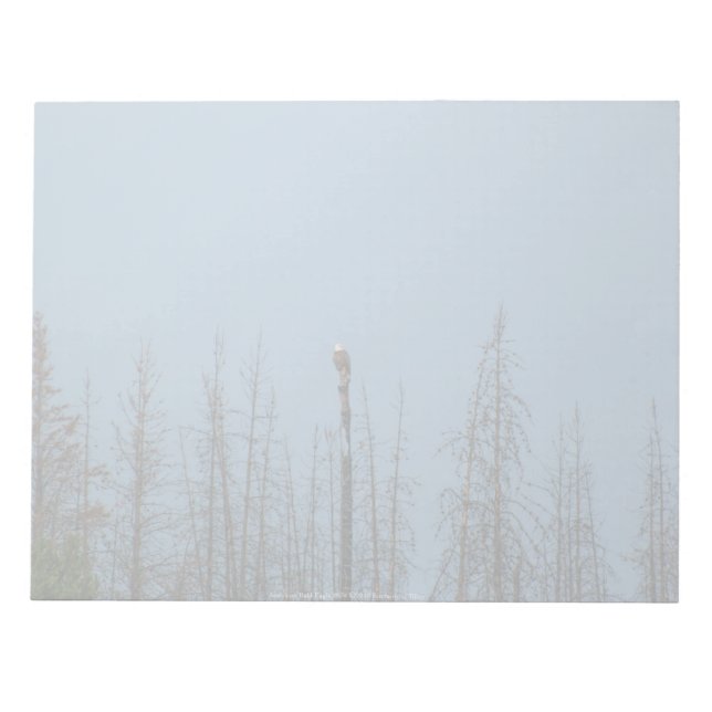 Bloc-note American Bald Eagle 8974 (Devant)