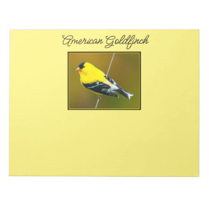 Bloc-note American Goldfinch - Photo originale