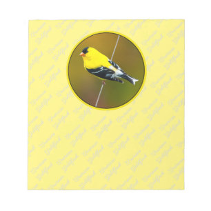 Bloc-note American Goldfinch - Photo originale