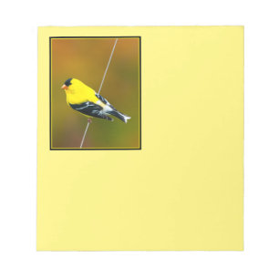 Bloc-note American Goldfinch - Photo originale