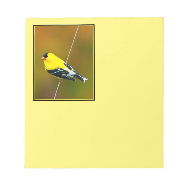 Bloc-note American Goldfinch - Photo originale (Devant)