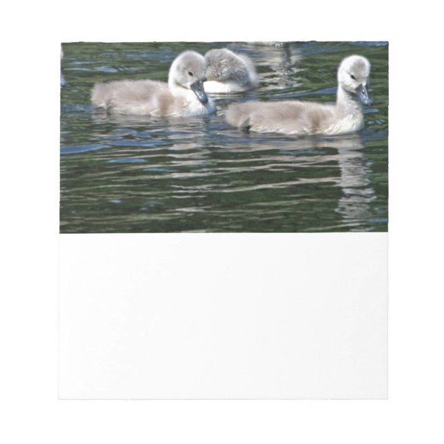 Bloc-note Amis de bain (Devant)