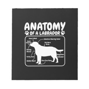 Bloc-note Anatomie du chien du Labrador
