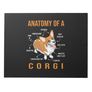 Bloc-note Anatomie d'un chien de Corgi Funny