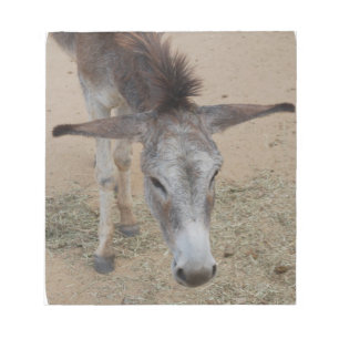 Bloc-note Âne à longue échéance