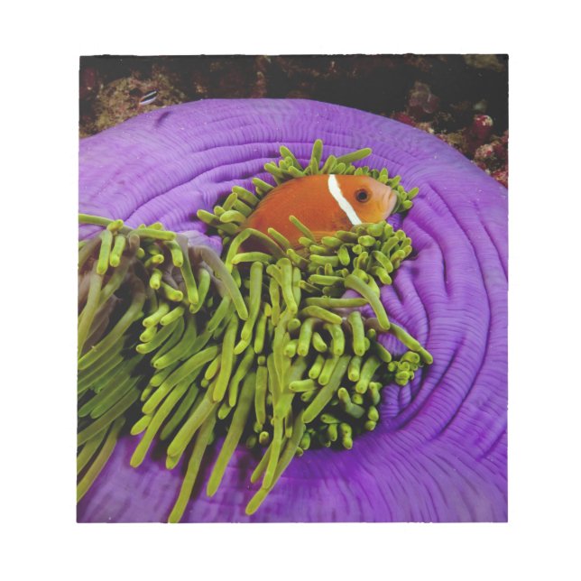 Bloc-note Anémonèse et grand anémone (Devant)