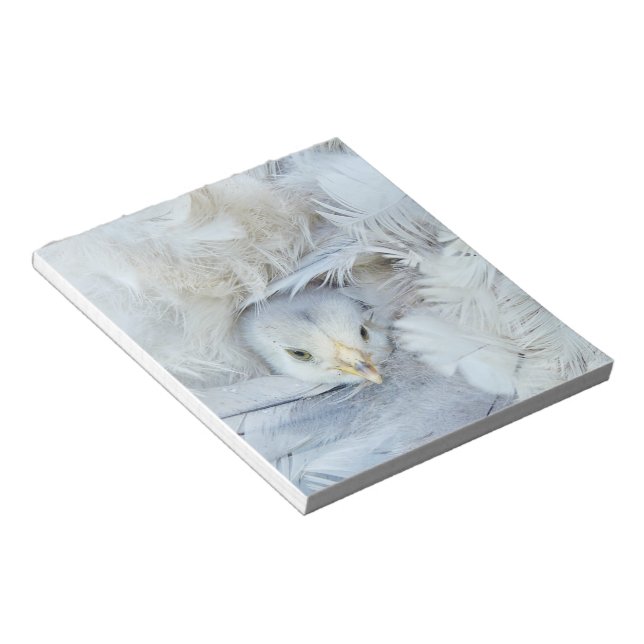 Bloc-note animal, bébé, plumes, mignonette, moelleuse, douce (Incliné)