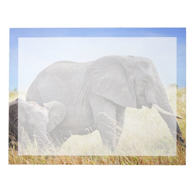 Bloc-note Animaux Bébés les Plus Mignons | Éléphant d'Afriqu (Devant)