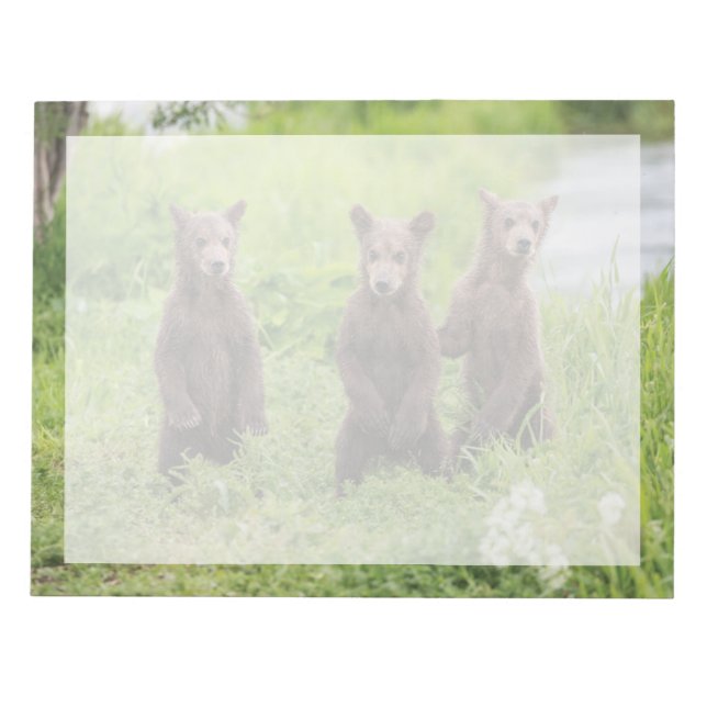 Bloc-note Animaux Bébés les Plus Mignons | Oursons Bruns de  (Devant)