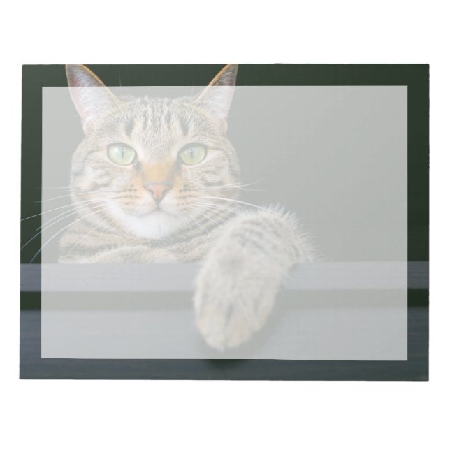Bloc-note Animaux Bébés les Plus Mignons | Tête de Chat Tabb (Devant)