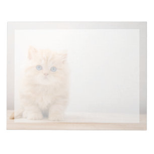Bloc-note Animaux de bébés cutest A British Longhair Kitte