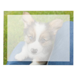 Bloc-note Animaux de bébés cutest Baby Corgi dans mon geno