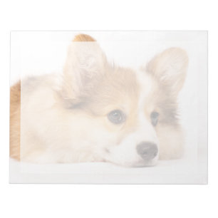 Bloc-note Animaux de bébés cutest Baby Corgi Portrait de c