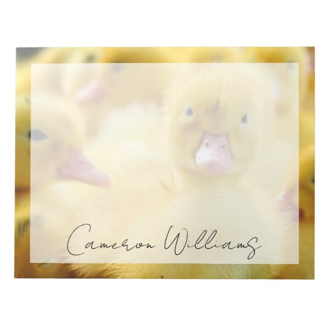 Bloc-note Animaux de bébés cutest | Baby Duck Group (Devant)