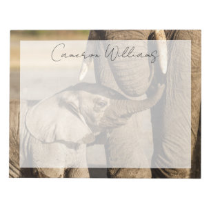 Bloc-note Animaux de bébés cutest   Baby Elephant & Mama