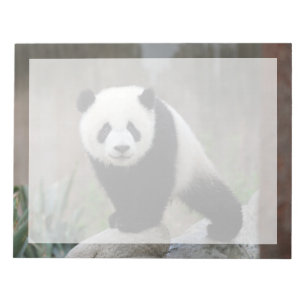 Bloc-note Animaux de bébés cutest Baby Panda géant