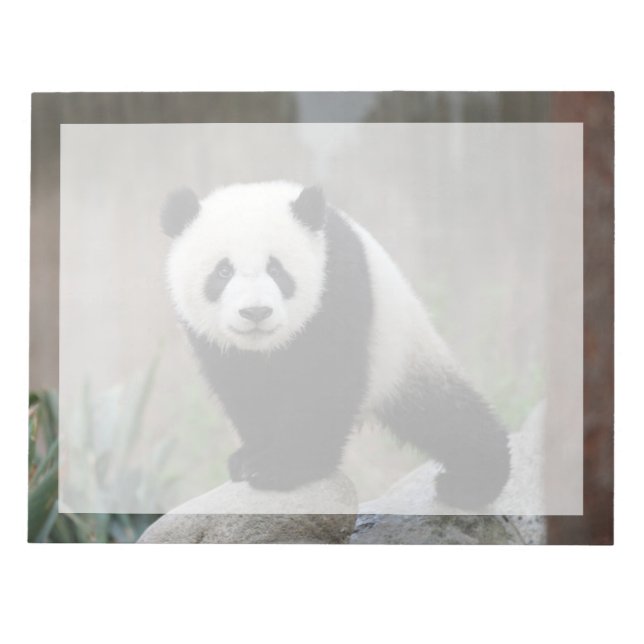 Bloc-note Animaux de bébés cutest | Baby Panda géant (Devant)