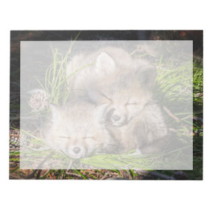 Bloc-note Animaux de bébés cutest Baby Red Fox Kits Sleepi