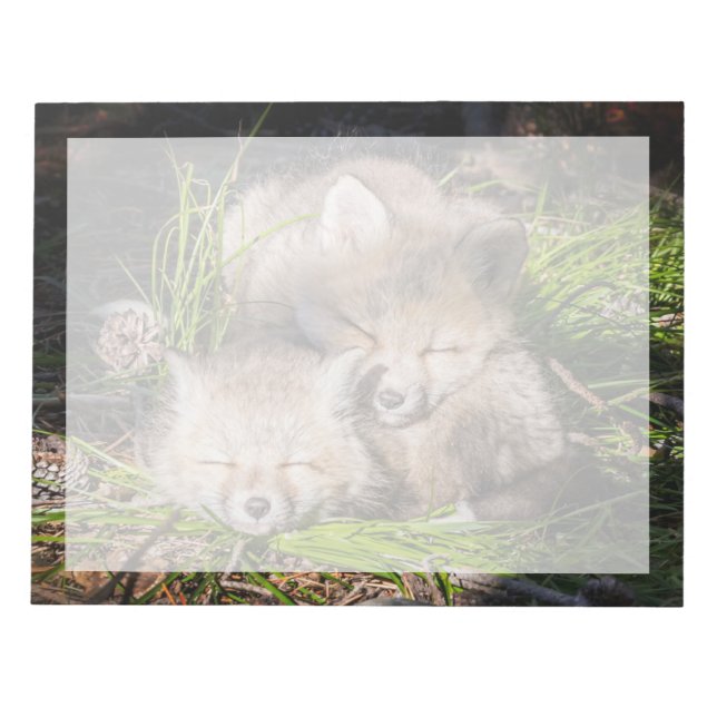 Bloc-note Animaux de bébés cutest | Baby Red Fox Kits Sleepi (Devant)
