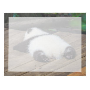 Bloc-note Animaux de bébés cutest Bébé Géant Panda Dormir