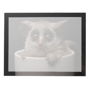 Bloc-note Animaux de bébés cutest   Bébé mignon