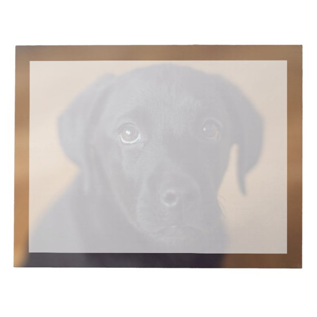 Bloc-note Animaux de bébés cutest | Black Labrador Puppy (Devant)