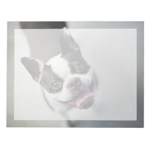 Bloc-note Animaux de bébés cutest Boston Bulldog Smile