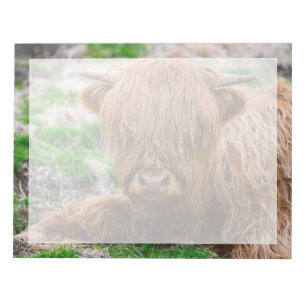 Bloc-note Animaux de bébés cutest   Calf de vache des Highla