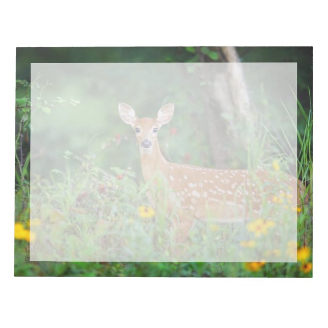 Bloc-note Animaux de bébés cutest | Cerf à queue blanche dan (Devant)