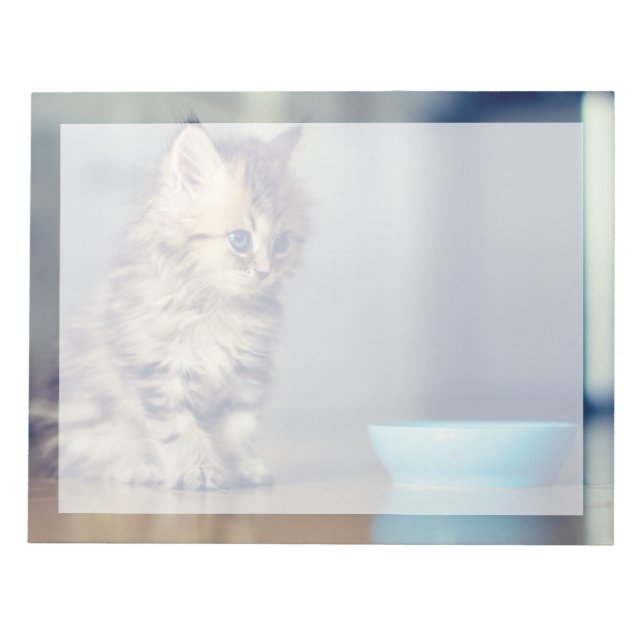 Bloc-note Animaux de bébés cutest | Chaton persan aux yeux b (Devant)