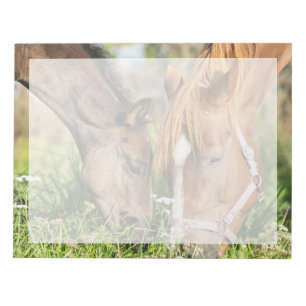 Bloc-note Animaux de bébés cutest   Colt à cheval