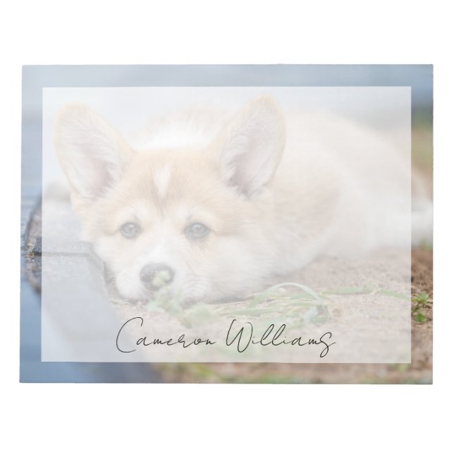 Bloc-note Animaux de bébés cutest | Corgi Laying in the Yard (Devant)
