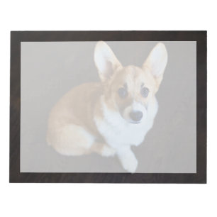Bloc-note Animaux de bébés cutest   Corgi levant les yeux