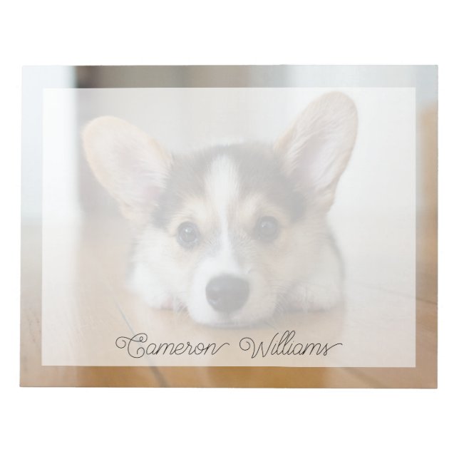 Bloc-note Animaux de bébés cutest | Corgi Puppy (Devant)