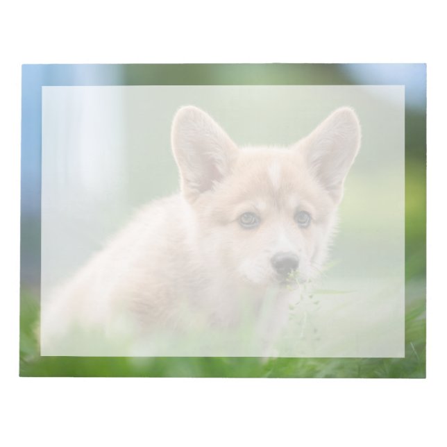 Bloc-note Animaux de bébés cutest | Corgi Puppy dans le tria (Devant)