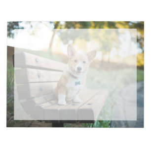 Bloc-note Animaux de bébés cutest Corgi Puppy sur un banc