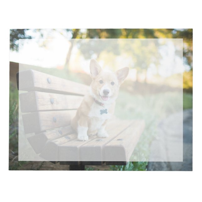 Bloc-note Animaux de bébés cutest | Corgi Puppy sur un banc  (Devant)
