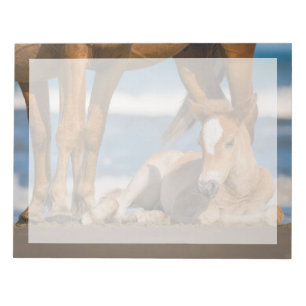 Bloc-note Animaux de bébés cutest Corolla nouvellement née