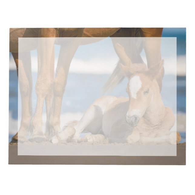 Bloc-note Animaux de bébés cutest | Corolla nouvellement née (Devant)