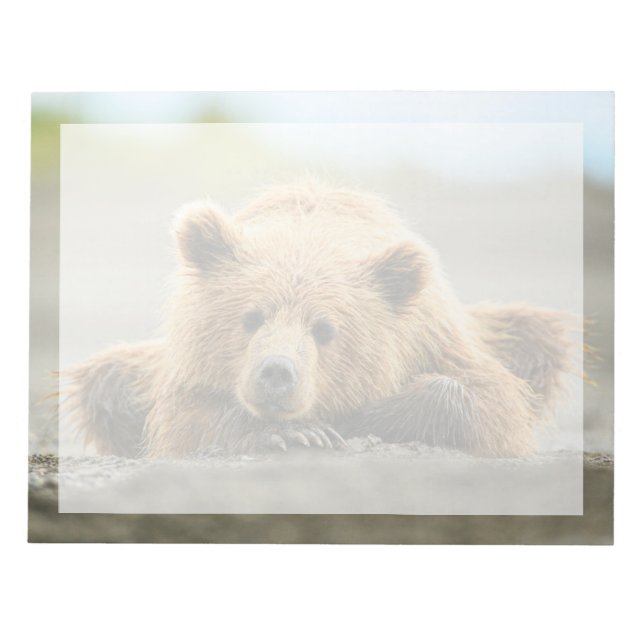 Bloc-note Animaux de bébés cutest | Cub d'ours Brown côtier (Devant)