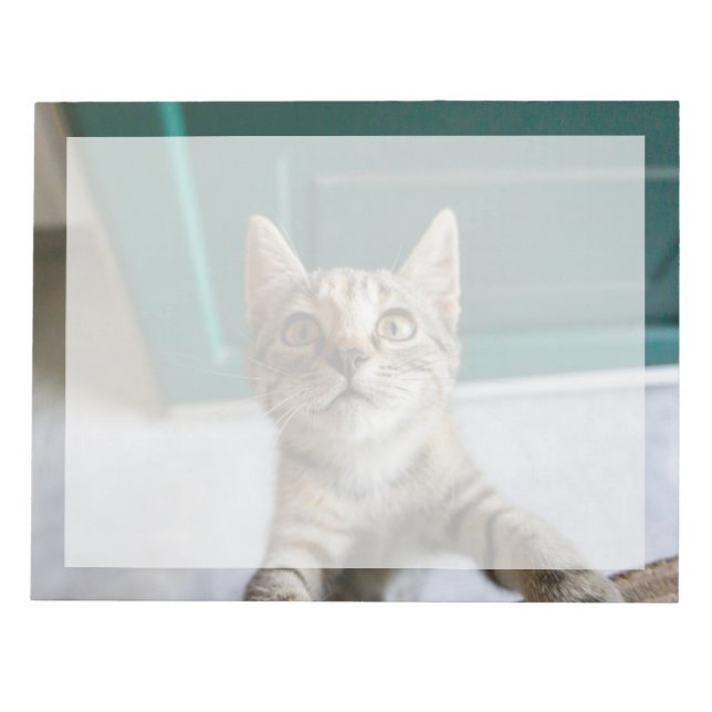 Bloc-note Animaux de bébés cutest | Cute Tabby Kitten (Devant)