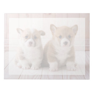 Bloc-note Animaux de bébés cutest   Deux Bébés Corgis assis