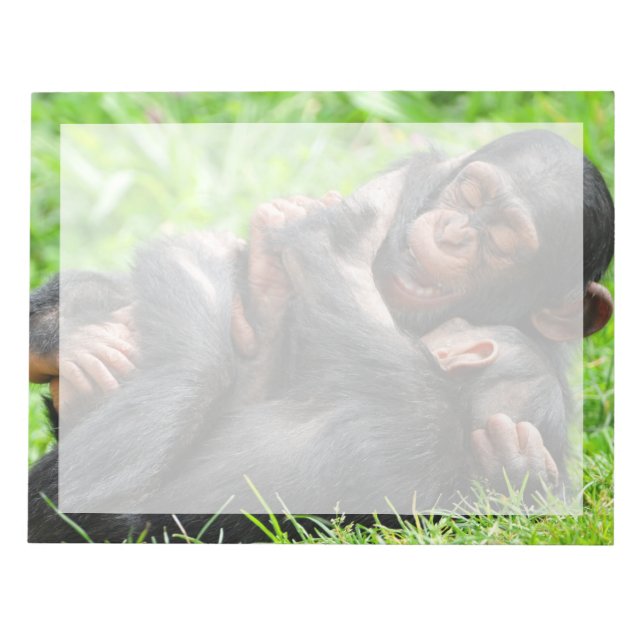 Bloc-note Animaux de bébés cutest | Deux jeunes chimpanzés (Devant)